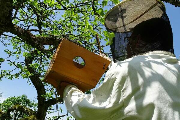 Traditioneller Bienentag Hansmeyerhof Buchenbach im Dreisamtal